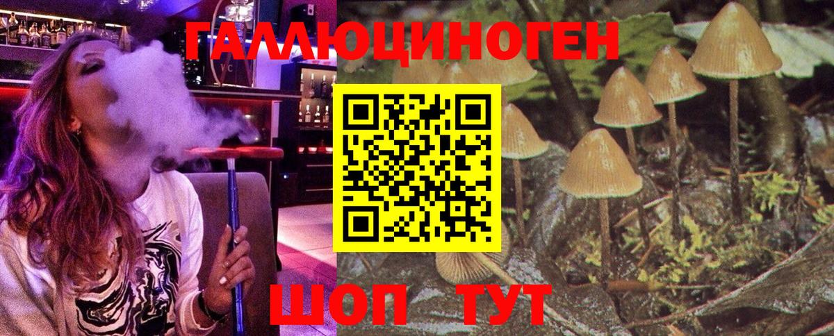 Лянтор  Псилоцибиновые грибы Psilocybe  Галлюциногенные грибы мицелий  Вход с VPN 